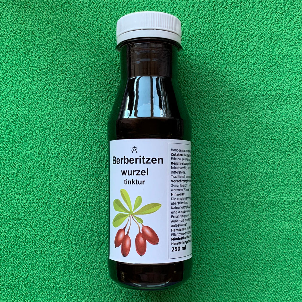 Berberritzen wurzel tinktur