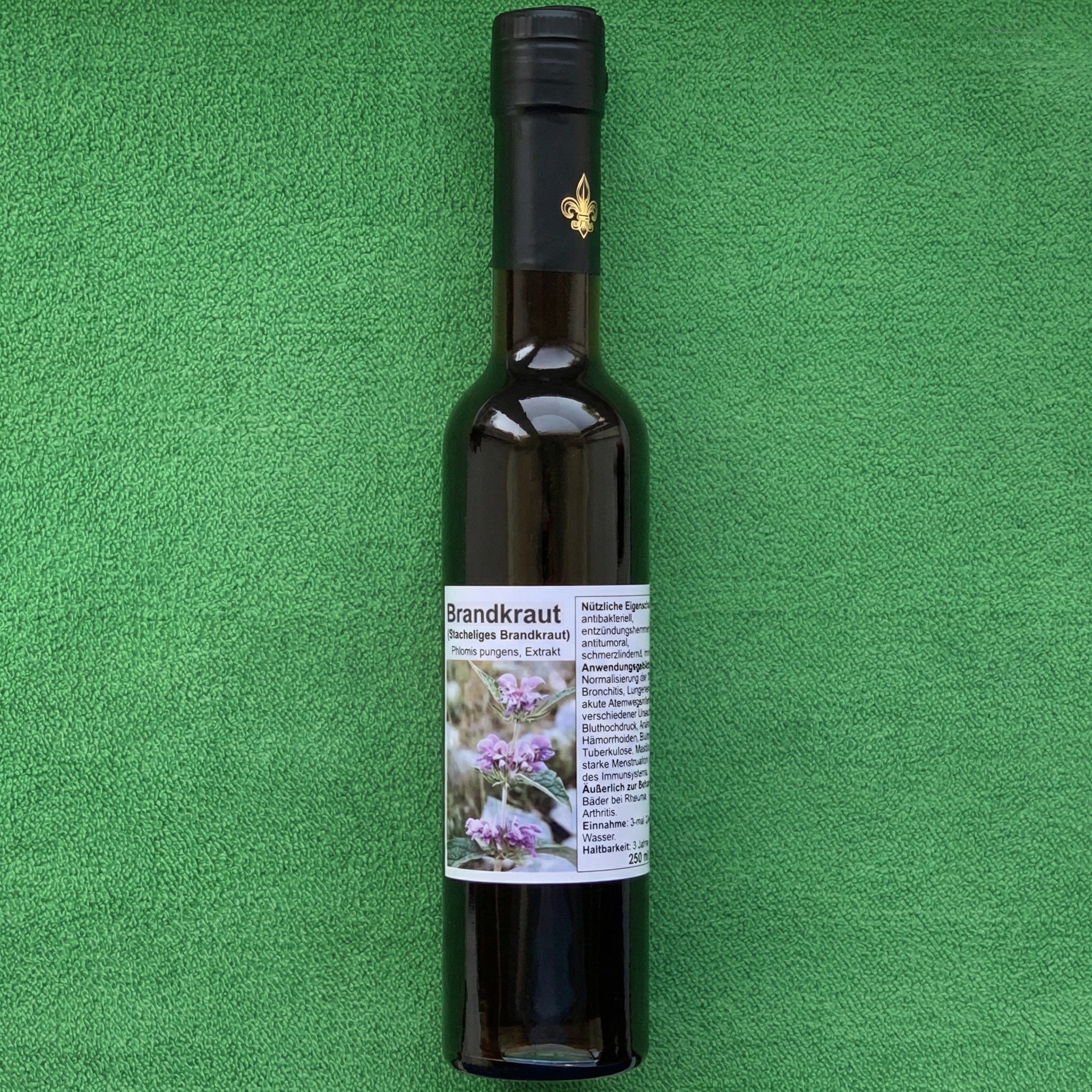 Brandkraut Tinktur Phlomis pungens Schweiz