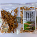 Cordyceps militaris 10 g