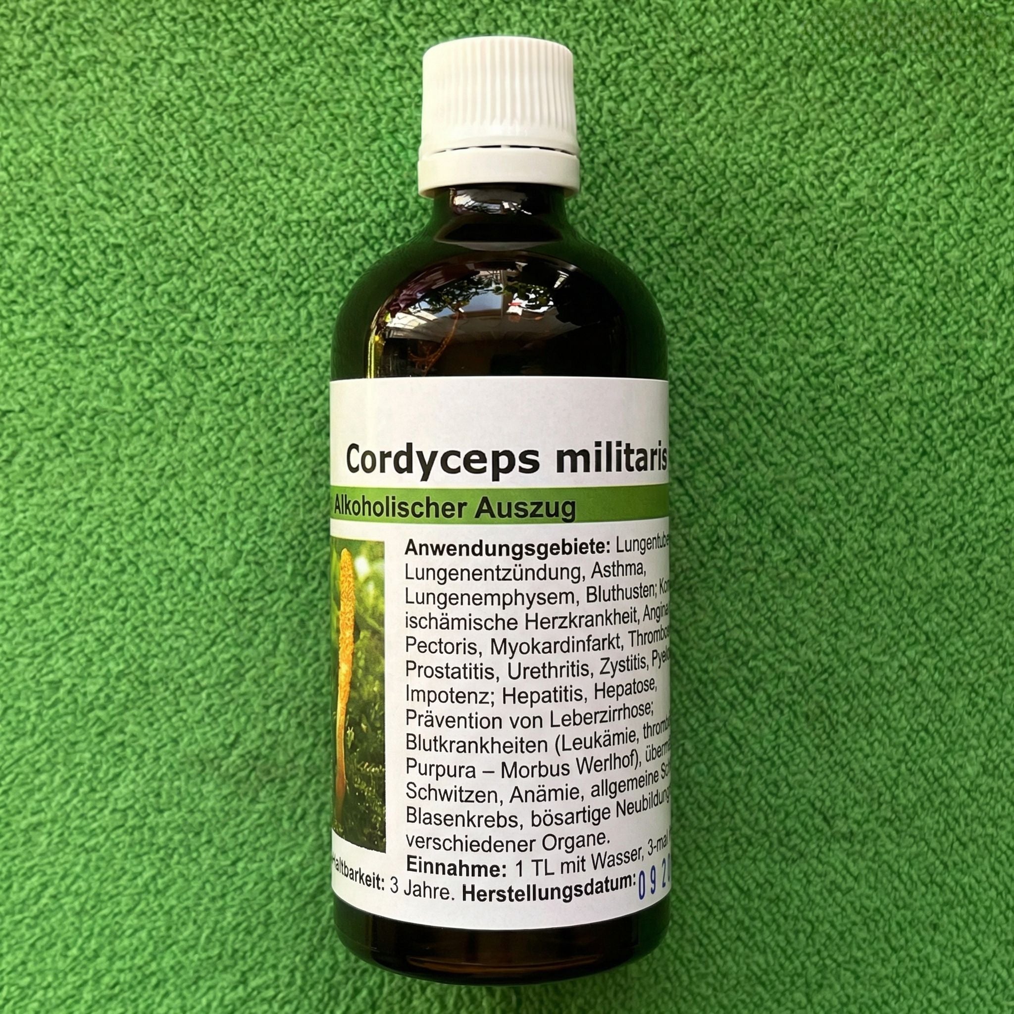 Cordyceps militaris Tinktur Schweiz