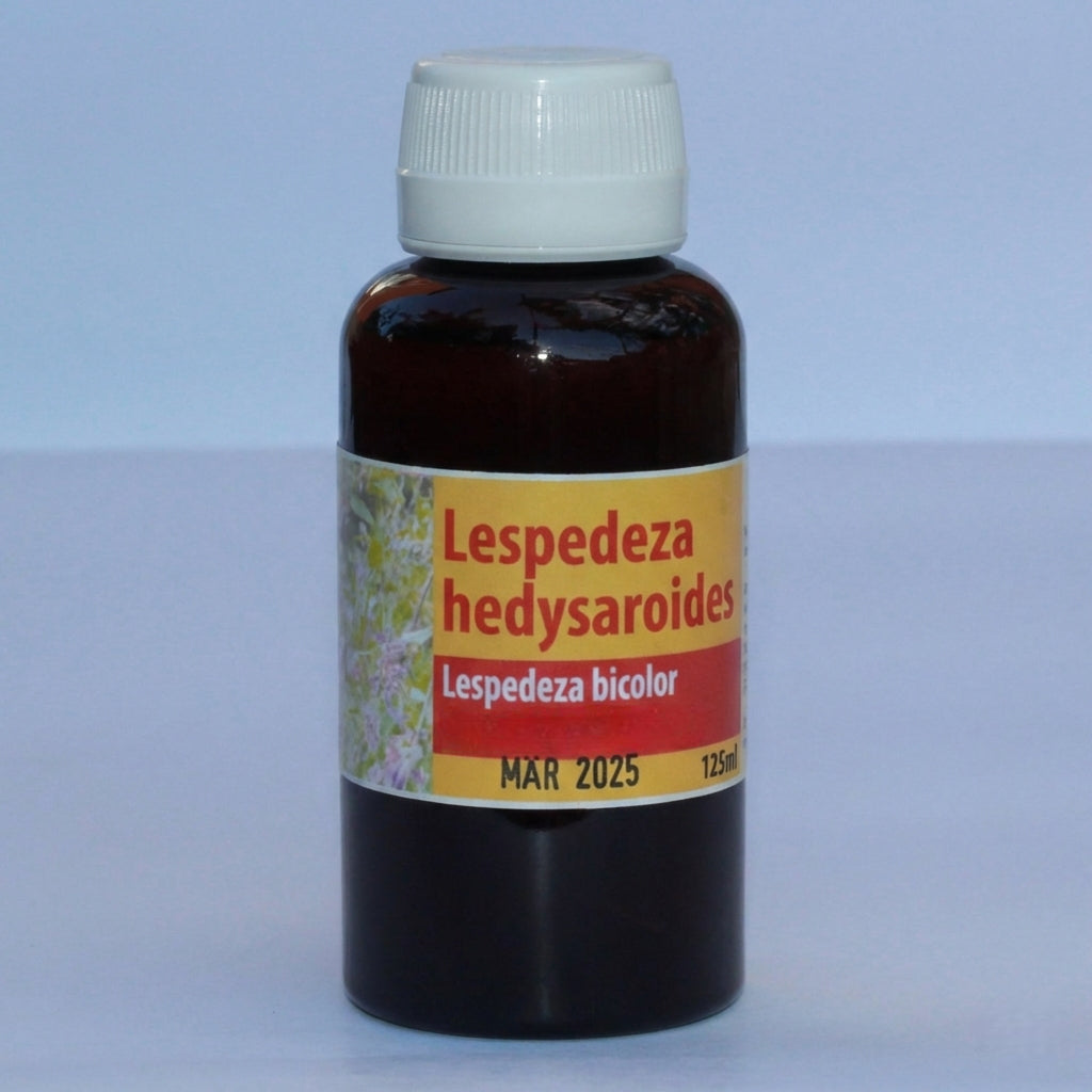 Lespedeza hedysaroides Tinktur 125 ml Schweiz