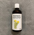 Rosenwurz Tinktur Rhodiola rosea Schweiz