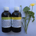 Scharbockskraut Saft 200 ml Schweiz