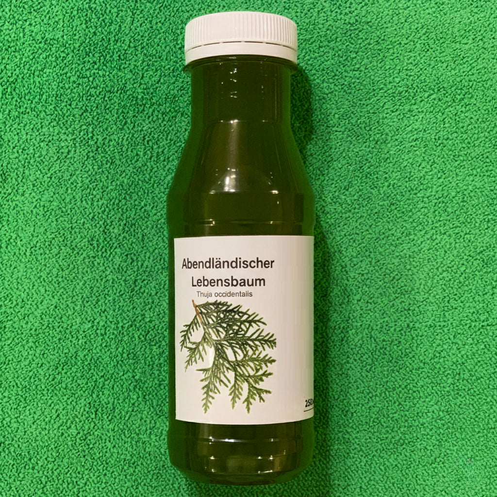 Thuja occidentalis Tinktur